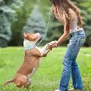 Sdbdcce2af9f64026bc839f26a778350f5.webp