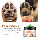 4.webp