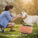 Sab405b8a768741b787812cc49c6927feF.webp