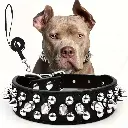Spiked Dog Collar And Leash Set, Rivet Leather Dog Collar 