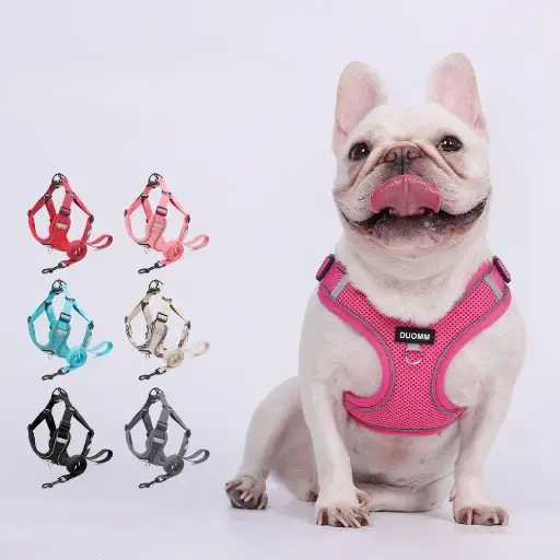 Dog Chest Strap