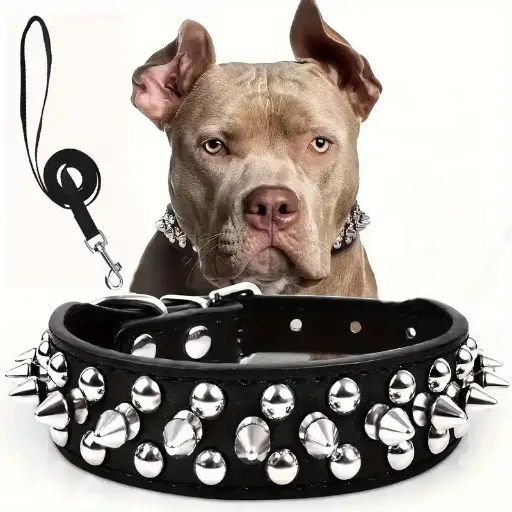 Spiked Dog Collar And Leash Set, Rivet Leather Dog Collar 