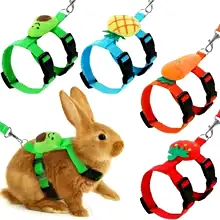 Rabbit Harness and Leash Set Adjustable for Small Animals Ferrets Piggies 